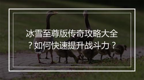 冰雪至尊版传奇攻略大全？如何快速提升战斗力？