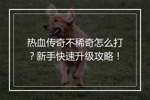 热血传奇不稀奇怎么打？新手快速升级攻略！