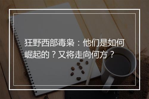 狂野西部毒枭：他们是如何崛起的？又将走向何方？