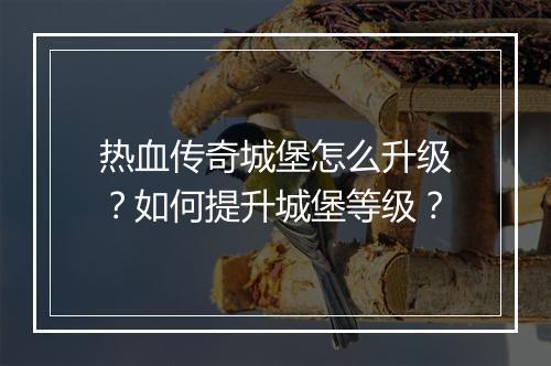 热血传奇城堡怎么升级？如何提升城堡等级？
