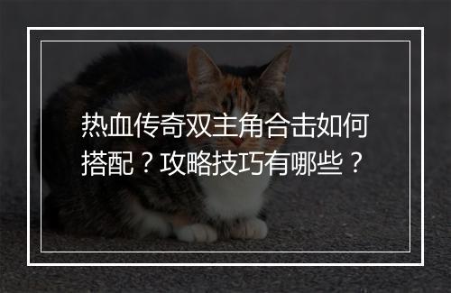 热血传奇双主角合击如何搭配？攻略技巧有哪些？