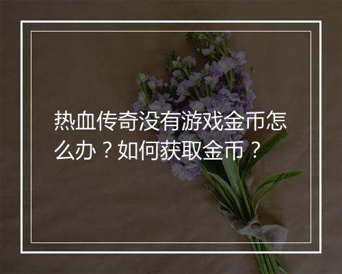 热血传奇没有游戏金币怎么办？如何获取金币？