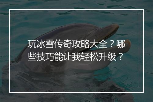 玩冰雪传奇攻略大全？哪些技巧能让我轻松升级？