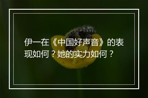 伊一在《中国好声音》的表现如何？她的实力如何？