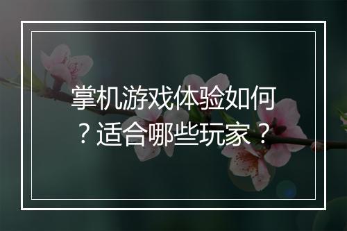 掌机游戏体验如何？适合哪些玩家？