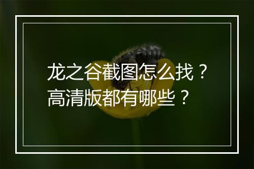 龙之谷截图怎么找？高清版都有哪些？