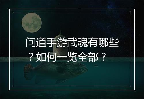 问道手游武魂有哪些？如何一览全部？