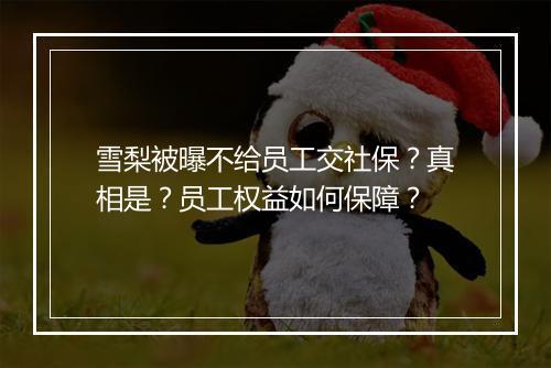 雪梨被曝不给员工交社保？真相是？员工权益如何保障？
