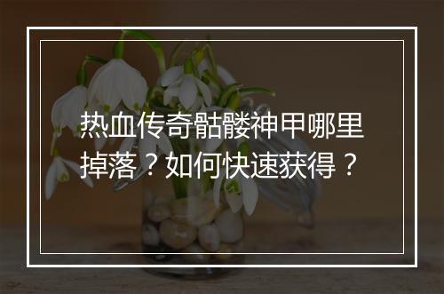 热血传奇骷髅神甲哪里掉落？如何快速获得？