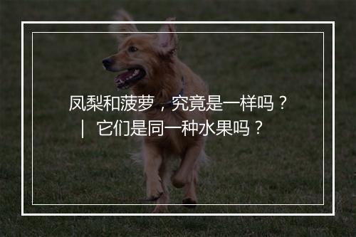 凤梨和菠萝，究竟是一样吗？ ｜ 它们是同一种水果吗？
