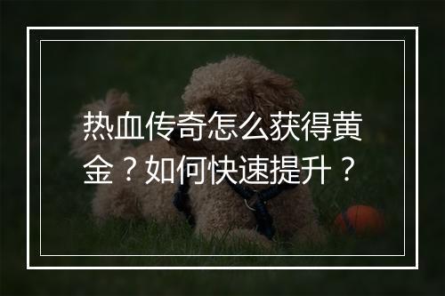 热血传奇怎么获得黄金？如何快速提升？