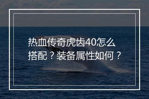 热血传奇虎齿40怎么搭配？装备属性如何？