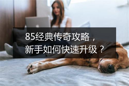 85经典传奇攻略，新手如何快速升级？