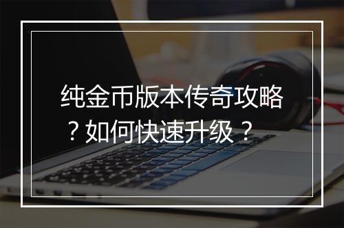 纯金币版本传奇攻略？如何快速升级？