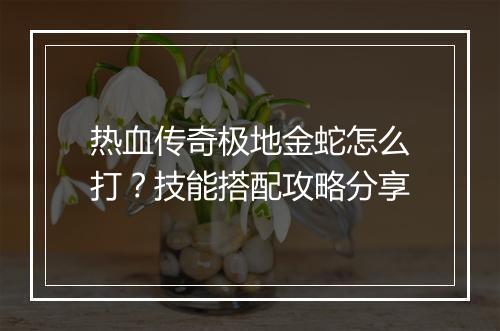 热血传奇极地金蛇怎么打？技能搭配攻略分享