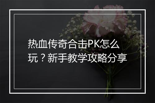 热血传奇合击PK怎么玩？新手教学攻略分享