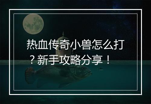 热血传奇小兽怎么打？新手攻略分享！