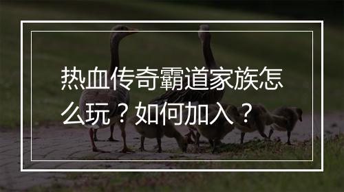 热血传奇霸道家族怎么玩？如何加入？
