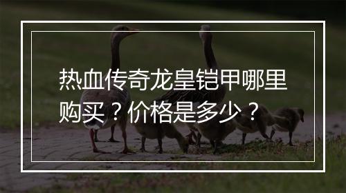 热血传奇龙皇铠甲哪里购买？价格是多少？