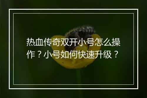 热血传奇双开小号怎么操作？小号如何快速升级？