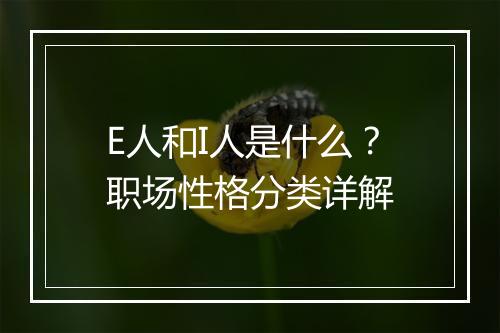 E人和I人是什么？职场性格分类详解