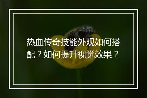热血传奇技能外观如何搭配？如何提升视觉效果？