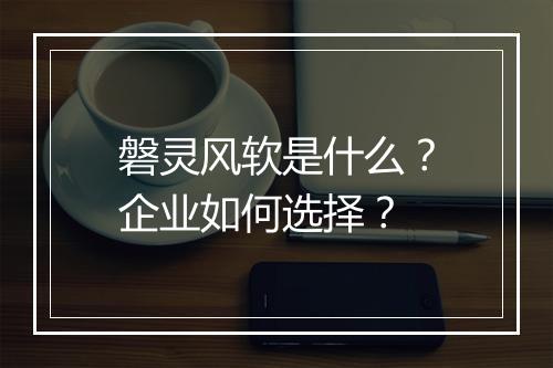 磐灵风软是什么？企业如何选择？