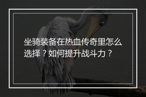 坐骑装备在热血传奇里怎么选择？如何提升战斗力？