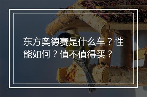 东方奥德赛是什么车？性能如何？值不值得买？