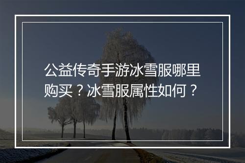 公益传奇手游冰雪服哪里购买？冰雪服属性如何？