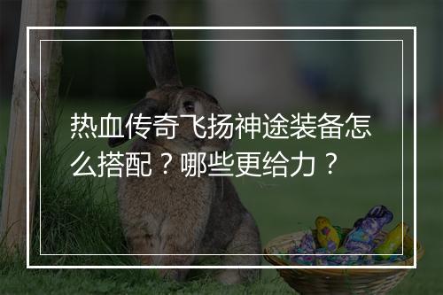 热血传奇飞扬神途装备怎么搭配？哪些更给力？