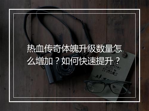 热血传奇体魄升级数量怎么增加？如何快速提升？
