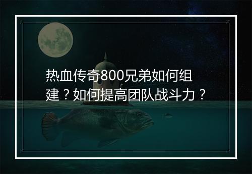热血传奇800兄弟如何组建？如何提高团队战斗力？