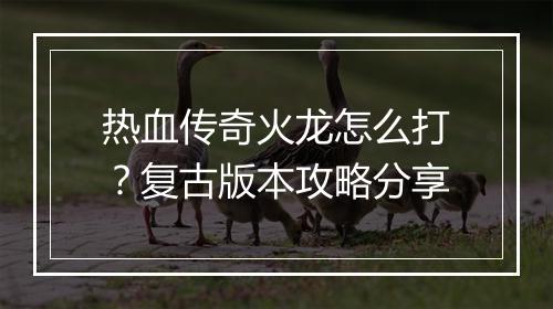 热血传奇火龙怎么打？复古版本攻略分享