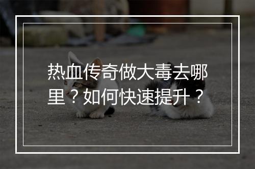 热血传奇做大毒去哪里？如何快速提升？