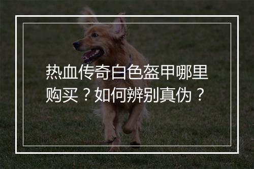 热血传奇白色盔甲哪里购买？如何辨别真伪？