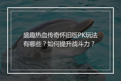 盛趣热血传奇怀旧版PK玩法有哪些？如何提升战斗力？