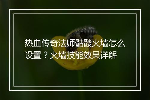 热血传奇法师骷髅火墙怎么设置？火墙技能效果详解