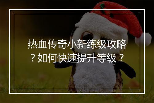 热血传奇小新练级攻略？如何快速提升等级？