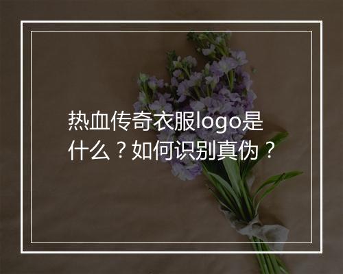 热血传奇衣服logo是什么？如何识别真伪？