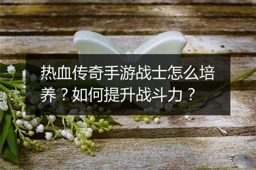 热血传奇手游战士怎么培养？如何提升战斗力？