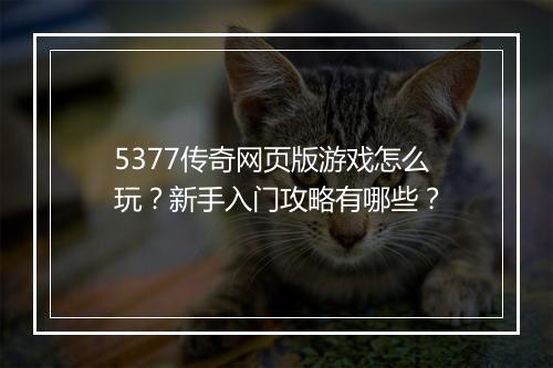 5377传奇网页版游戏怎么玩？新手入门攻略有哪些？