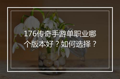 176传奇手游单职业哪个版本好？如何选择？