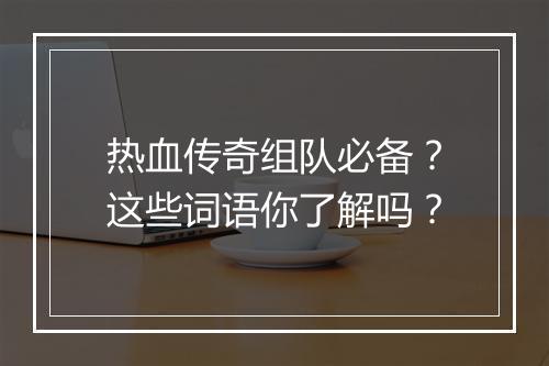 热血传奇组队必备？这些词语你了解吗？