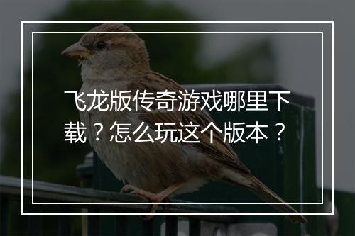 飞龙版传奇游戏哪里下载？怎么玩这个版本？
