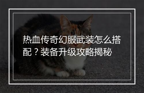 热血传奇幻服武装怎么搭配？装备升级攻略揭秘