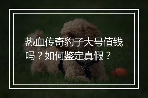 热血传奇豹子大号值钱吗？如何鉴定真假？