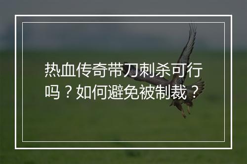 热血传奇带刀刺杀可行吗？如何避免被制裁？