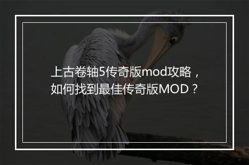 上古卷轴5传奇版mod攻略，如何找到最佳传奇版MOD？