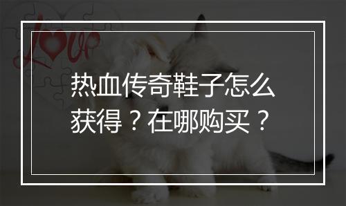 热血传奇鞋子怎么获得?在哪购买?